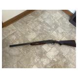 Savage 410-22 long rifle combo