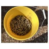 Bucket of chain