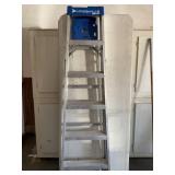 6ft Louisville Ladder
