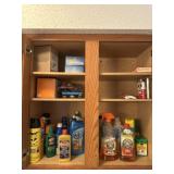 Cleaning supplies and misc