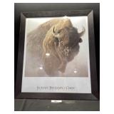Framed Robert Bateman print ' Chief'