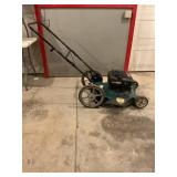 Ranch king push mower