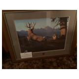 National wild Turkey Federation photo