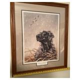 Watchful eyes, black lab by Rick Morkel