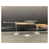 Daisy BB Gun