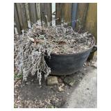 Cast iron kettle