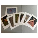 Outdoor Iowa Conservation prints