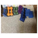 Hand and ankle weights