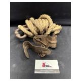 Cow kickers and bull ring