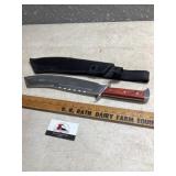 Knife and sheath
