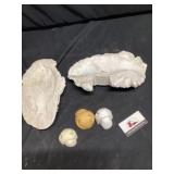 Taxidermy parts