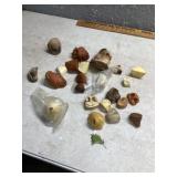 Taxidermy parts