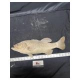 Taxidermy fish