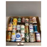 Collector beer cans