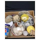 Seashells and rocks