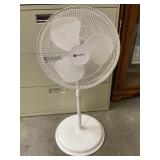 Fan