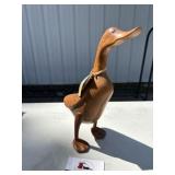 Wood Duck