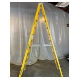 Werner Step Ladder