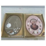 Sea Shell Art