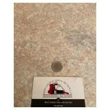 Foreign coin