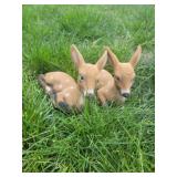 Fawn small outdoor decor
