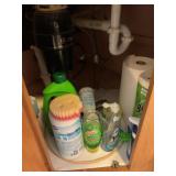 Cabinet of Cleaning Supplies