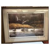 Swallow Pond Mallard