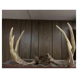 Antlers