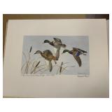 Maynard Reese Waterfowl Print