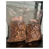 44 S & W Shell