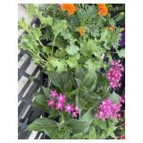 Flat of Mixed Flowers