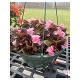10' Hanging Basket