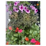 Flat of Mixed Flowers