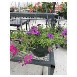 12' Hanging Basket