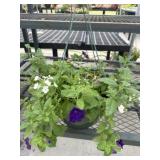 12' Hanging Basket