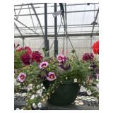 10' Hanging Basket