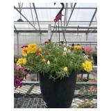 10' Hanging Basket