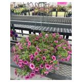 12' Hanging Basket