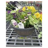 Mixed Planter