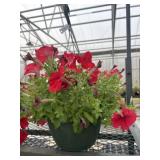 10' Hanging Basket
