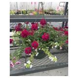 12' Hanging Basket
