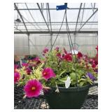 10' Hanging Basket