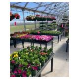 West Central Valley Greenhouse