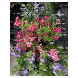 Flat of Mixed Flowers