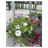 12' Hanging Basket