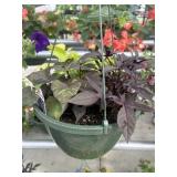 10' Hanging Basket