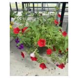12' Hanging Basket
