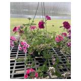 10' Hanging Basket