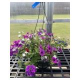 10' Hanging Basket