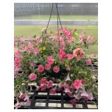 12' Hanging Basket